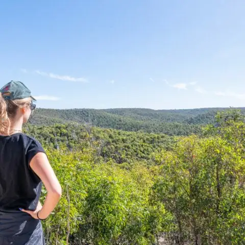 Brisbane Ranges National Park