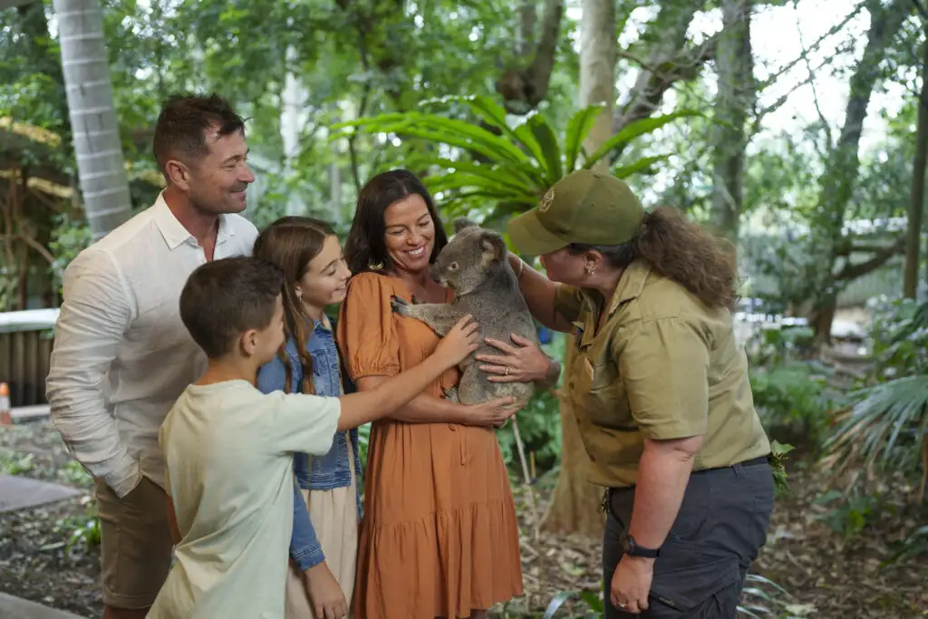 Lone Pine Koala Sanctuary
