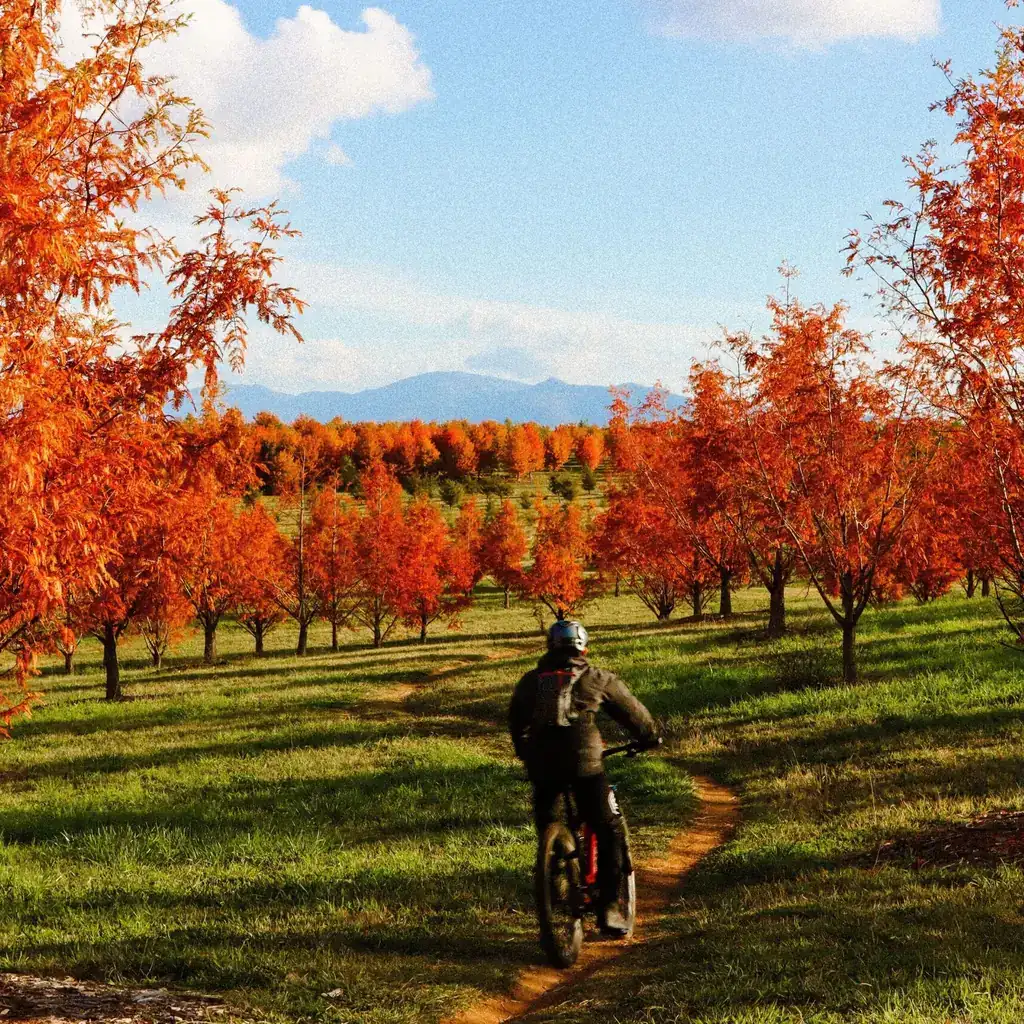 Molonglo Valley, Australian Capital Territory