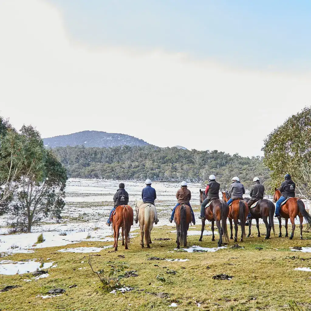 Crackenback, Kosciuszko National Park