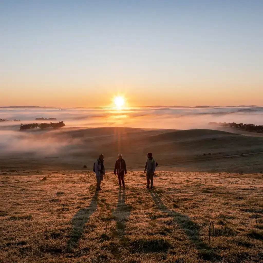 Clare Valley, South Australia