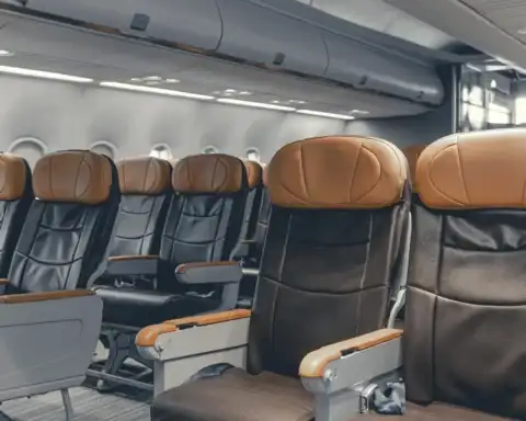 A row of economy class airplane seats with wide leather upholstery, illustrating an extra-legroom economy seat category.